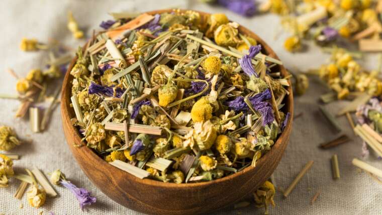 Exactly How To Get All The Protein You Need On  A Plant-Based Diet